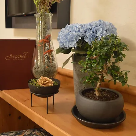 Jaegerhof مايرهوفن